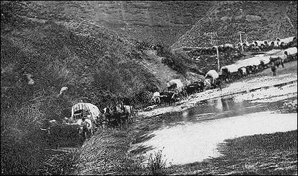 Emigrant train of the 1860's