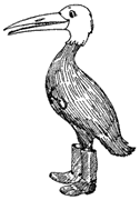 Hesperornis Restored (Jayhawkornis Kansasensis)