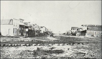 Newton in 1871